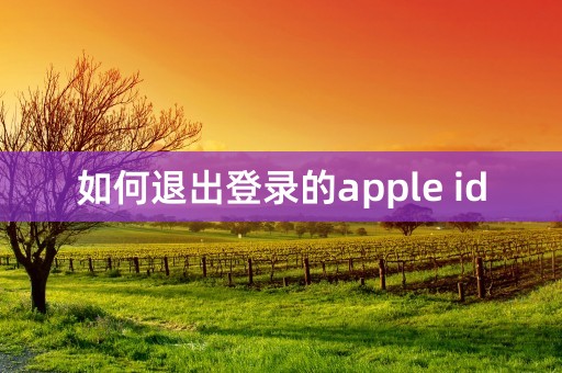 如何退出登录的apple id