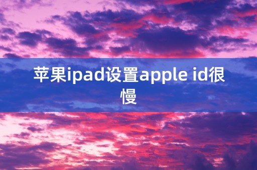 苹果ipad设置apple id很慢