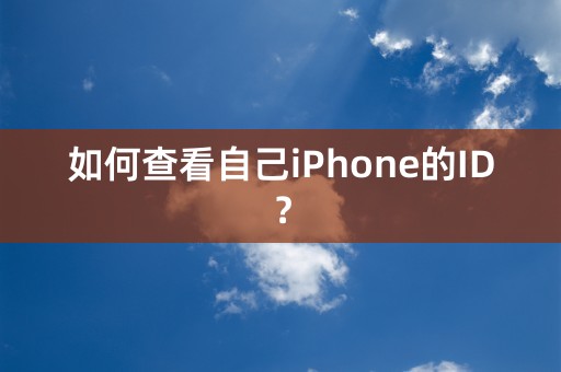 如何查看自己iPhone的ID？