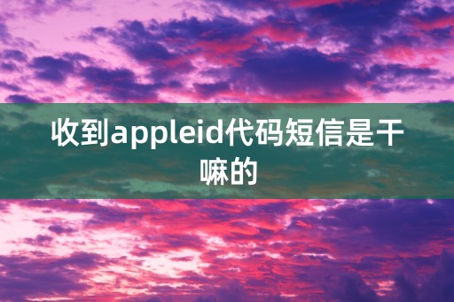 收到appleid代码短信是干嘛的