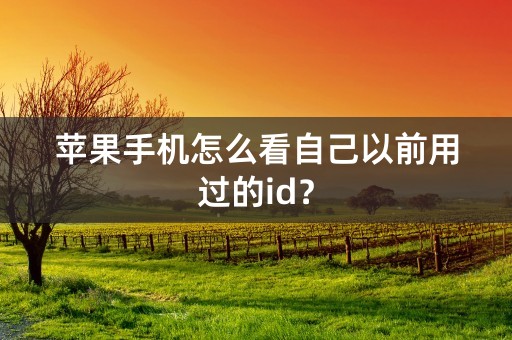 苹果手机怎么看自己以前用过的id？