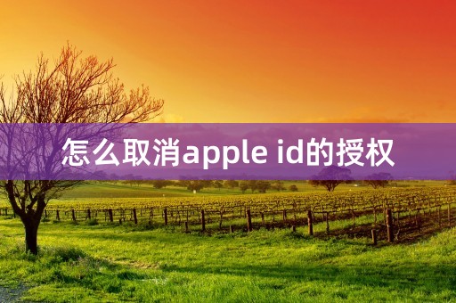 怎么取消apple id的授权