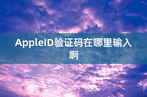 AppleID验证码在哪里输入啊