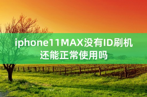 iphone11MAX没有ID刷机还能正常使用吗