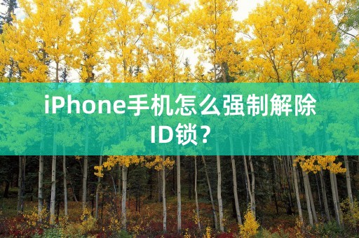 iPhone手机怎么强制解除ID锁？