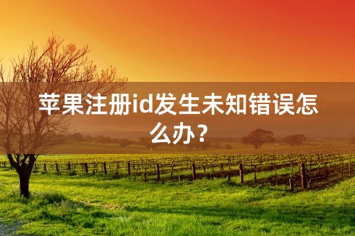 苹果注册id发生未知错误怎么办？