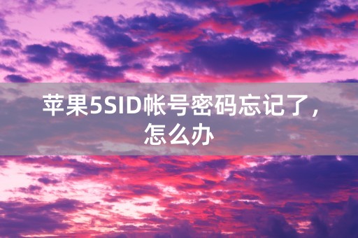 苹果5SID帐号密码忘记了，怎么办