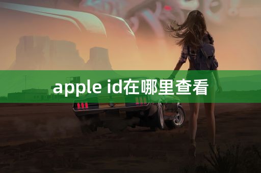 apple id在哪里查看