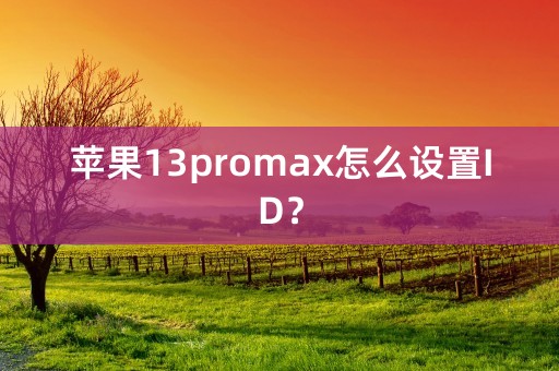 苹果13promax怎么设置ID？