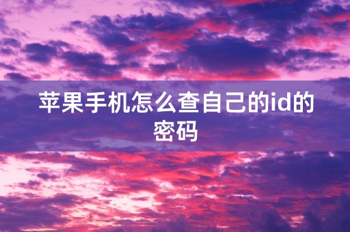 苹果手机怎么查自己的id的密码