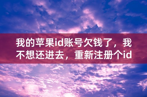 我的苹果id账号欠钱了，我不想还进去，重新注册个id行吗？会有什么后果呢？求详细解释