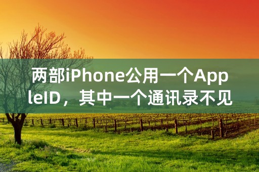 两部iPhone公用一个AppleID，其中一个通讯录不见了，怎么办?