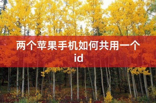 两个苹果手机如何共用一个id