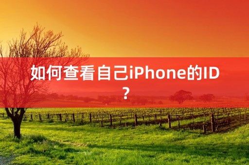 如何查看自己iPhone的ID？