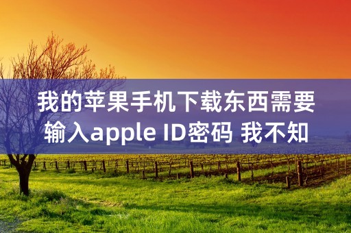 我的苹果手机下载东西需要输入apple ID密码 我不知道怎么办？