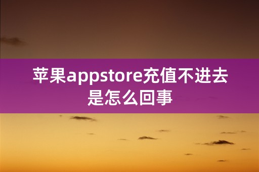 苹果appstore充值不进去是怎么回事