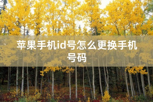 苹果手机id号怎么更换手机号码