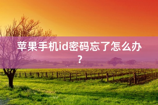 苹果手机id密码忘了怎么办？