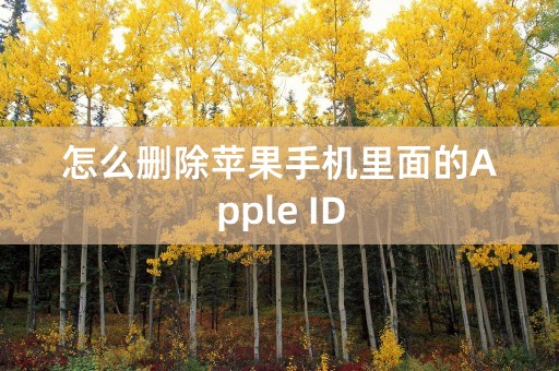 怎么删除苹果手机里面的Apple ID