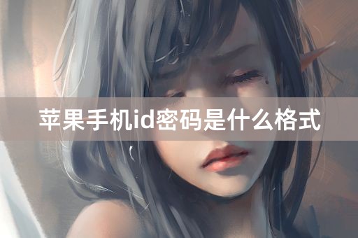 苹果手机id密码是什么格式