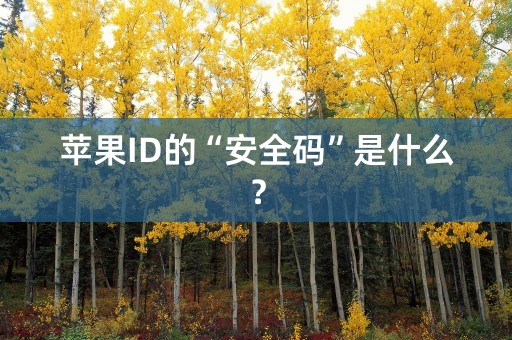 苹果ID的“安全码”是什么？