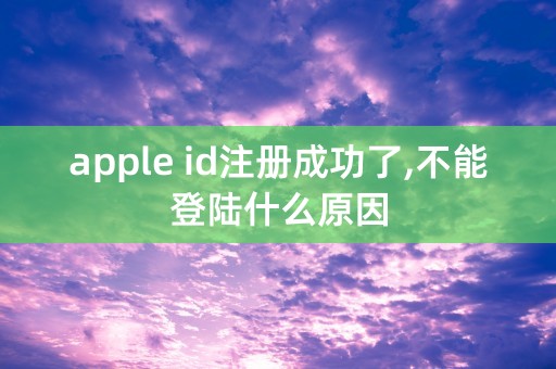 apple id注册成功了,不能登陆什么原因