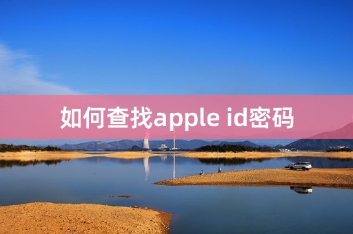 如何查找apple id密码