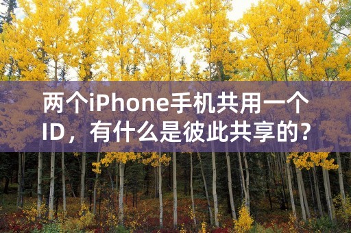 两个iPhone手机共用一个ID，有什么是彼此共享的？