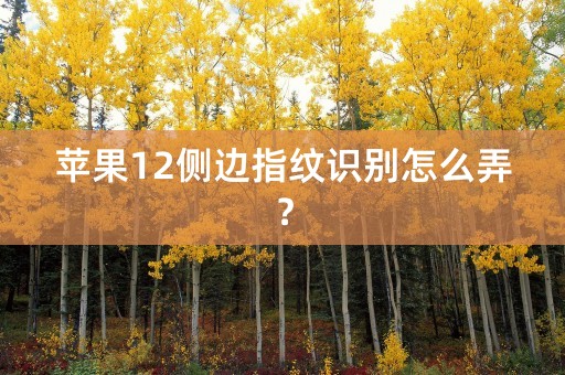 苹果12侧边指纹识别怎么弄？