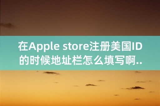 在Apple store注册美国ID的时候地址栏怎么填写啊..