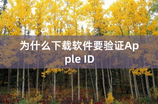 为什么下载软件要验证Apple ID