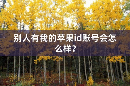 别人有我的苹果id账号会怎么样？