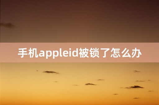 手机appleid被锁了怎么办