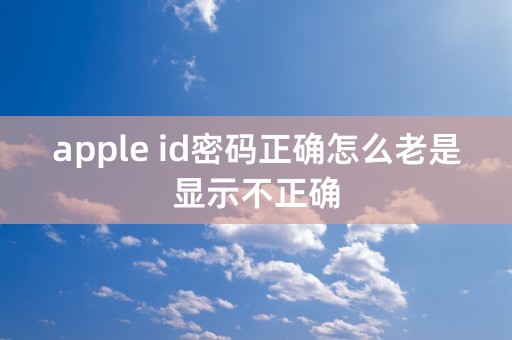 apple id密码正确怎么老是显示不正确