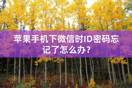 苹果手机下微信时ID密码忘记了怎么办？