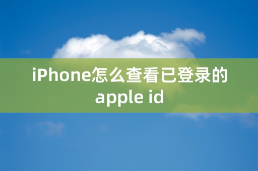 iPhone怎么查看已登录的apple id