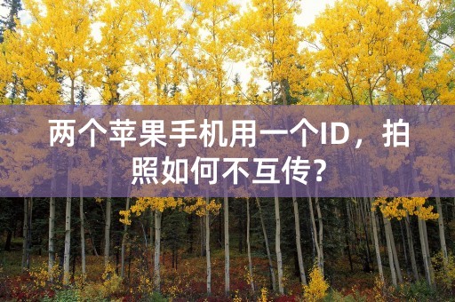 两个苹果手机用一个ID，拍照如何不互传？