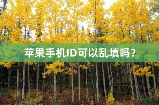 苹果手机ID可以乱填吗？