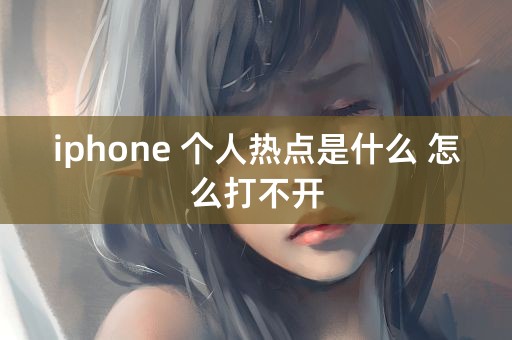 iphone 个人热点是什么 怎么打不开