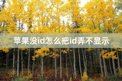 苹果没id怎么把id弄不显示