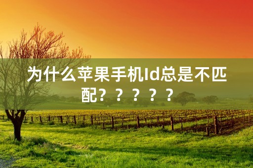 为什么苹果手机Id总是不匹配？？？？？