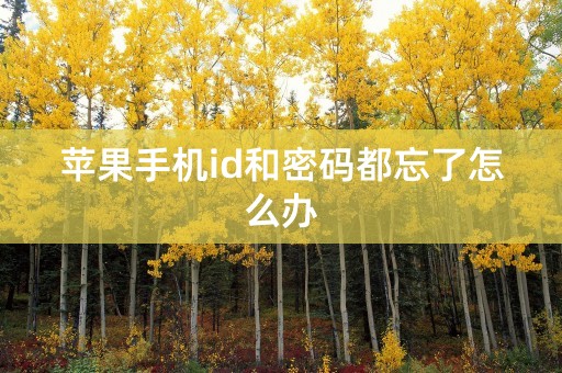 苹果手机id和密码都忘了怎么办