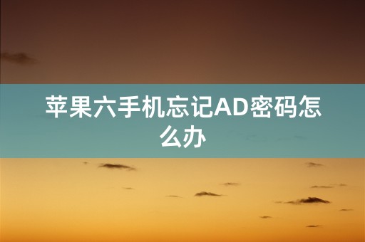 苹果六手机忘记AD密码怎么办