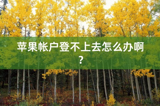 苹果帐户登不上去怎么办啊？