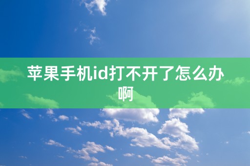 苹果手机id打不开了怎么办啊