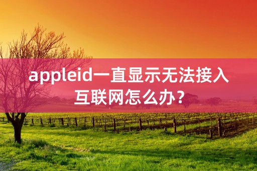 appleid一直显示无法接入互联网怎么办？