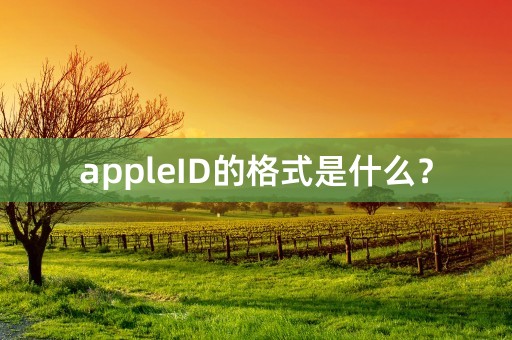 appleID的格式是什么？