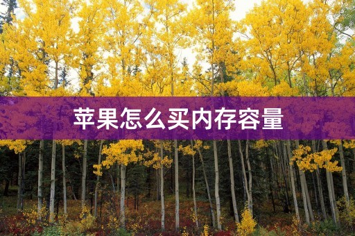 苹果怎么买内存容量