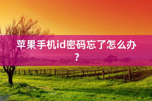 苹果手机id密码忘了怎么办？