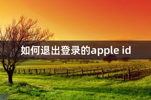 如何退出登录的apple id